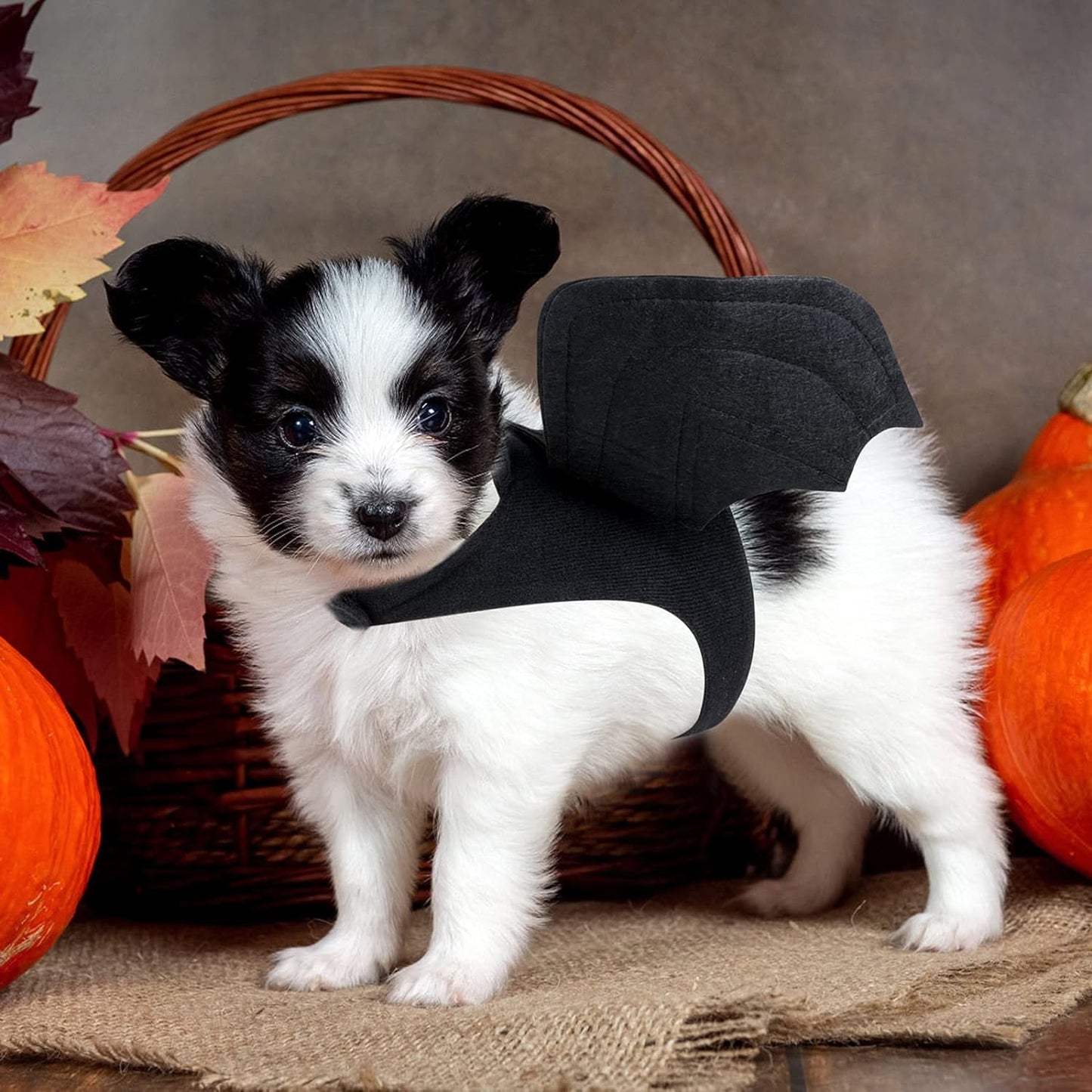 TETOU Dog Halloween Costume, Halloween Bat Fairy Wings Pet Harness Costumes for Dogs Cats Hallowe'en Party