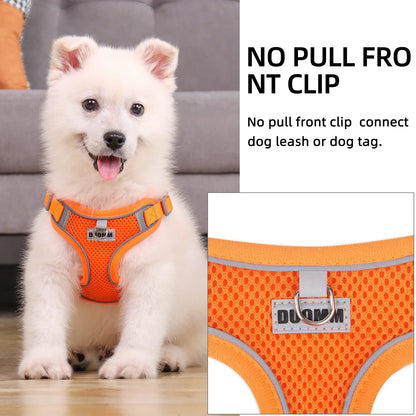TETOU Reflective Dog Harness and Leash Set, No-Pull Pet Harness Adjustable Mesh, Ultra Breathable Padded Dog Vest Harness for Small Medium Dogs