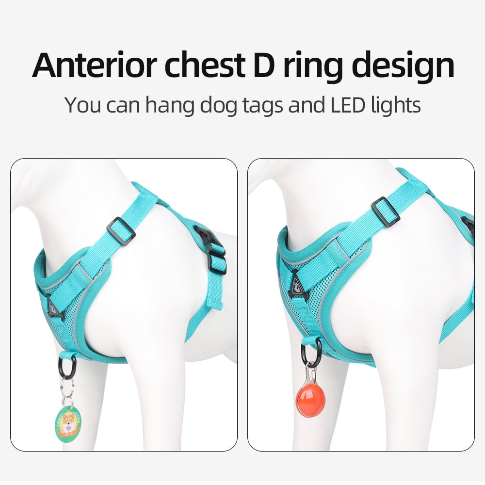 TETOU Cat Dog Harness and Leash, Escape Proof Soft Adjustable Vest Harnesses for Cats Dog, Easy Control Breathable Reflective Strips Jacket - Green,S