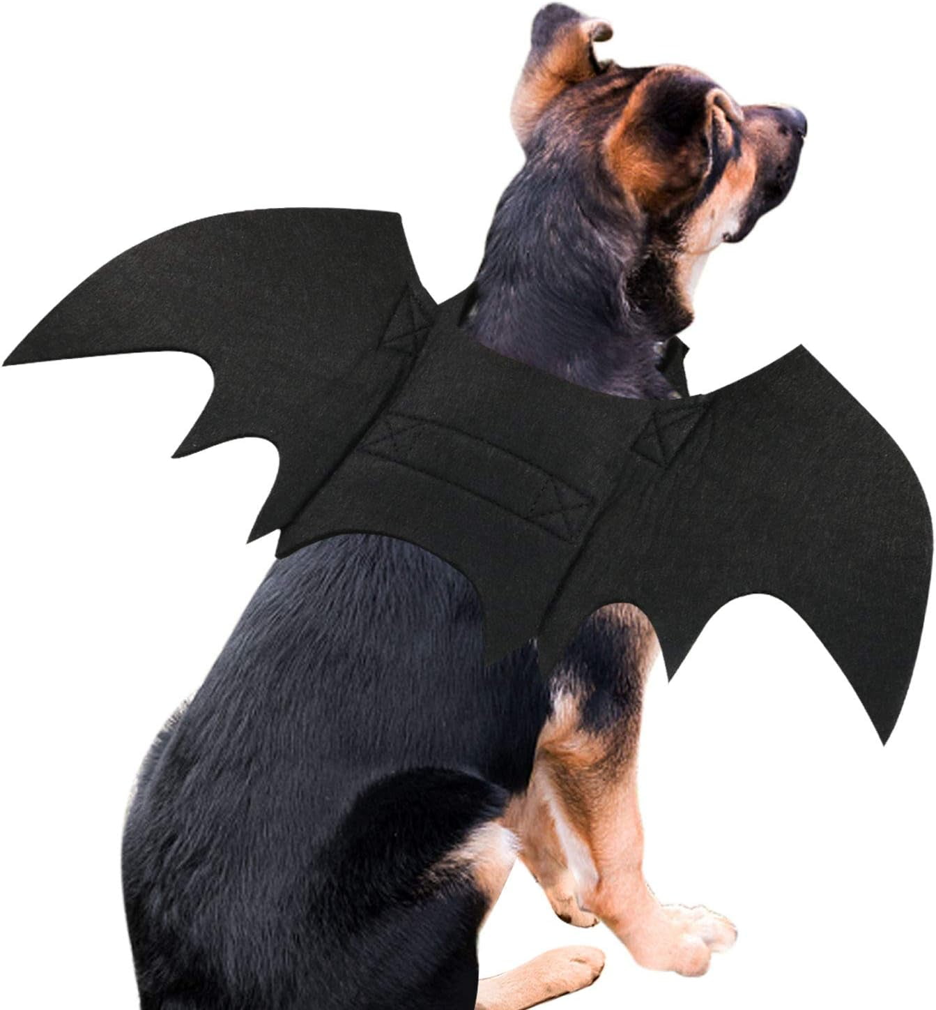 TETOU Dog Bat Costume, Hallowe'en Pet Costume Bat Fairy Wings Cosplay Dog Cat Costume for Hallowe'en Party