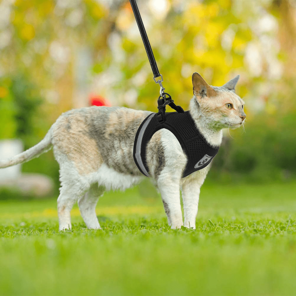 TETOU Cat Harness and Leash Set for Walking Adjustable Vest with Reflective Strap for Pet Kitten Puppy