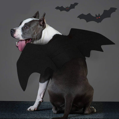 TETOU Dog Bat Costume, Hallowe'en Pet Costume Bat Fairy Wings Cosplay Dog Cat Costume for Hallowe'en Party